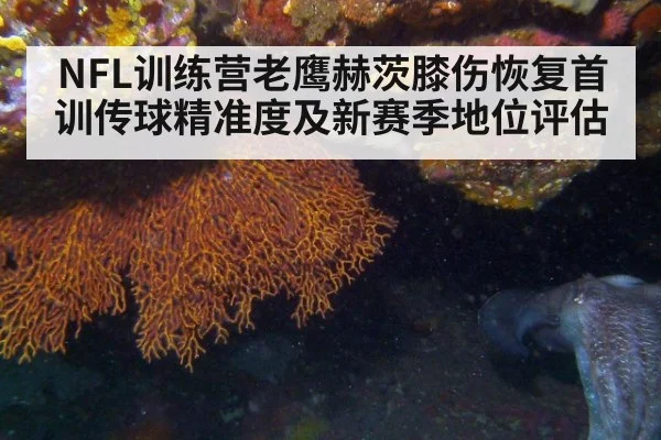 NFL训练营老鹰赫茨膝伤恢复首训传球精准度及新赛季地位评估